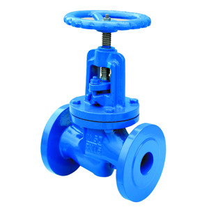 Ductile Iron Globe Valve Dn Dn Pn Pn Landee Valve