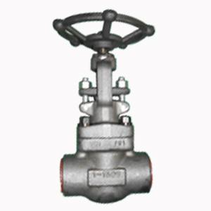 Socket Welded Globe Valve, 1 Inch, 1500 LB - Landee Valve